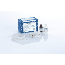 Набір реагентів QuantiFERON-TB Gold Plus (QFT-Plus) 2 Plate Kit ELISA 622120